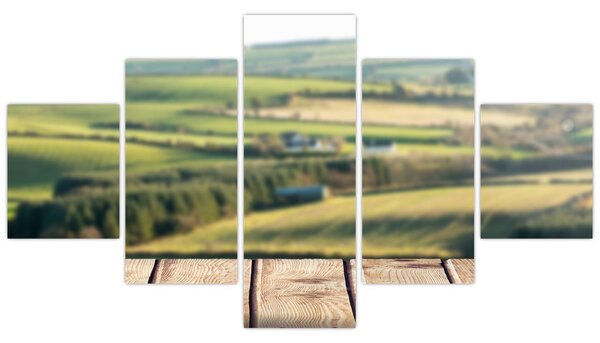 Obraz - Výhled na krajinu (125x70 cm)