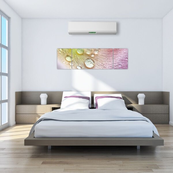 Obraz - Kapičky (170x50 cm)