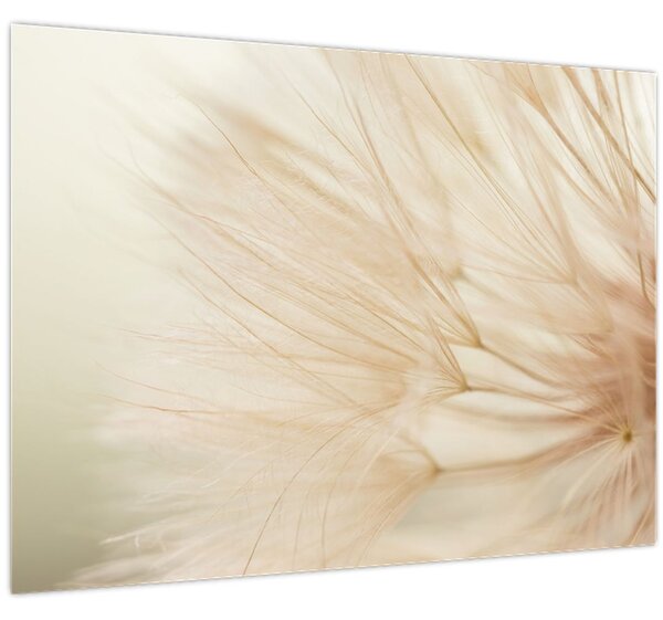 Obraz - Detaily květu (70x50 cm)