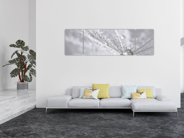 Obraz - Kapka vody (170x50 cm)