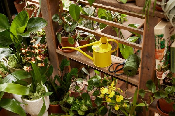 Konvička na zalévání Fazeley Flow Lotus Yellow – 1 l