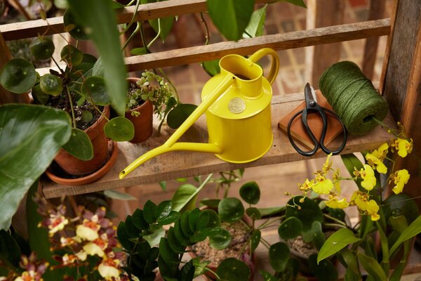 Konvička na zalévání Fazeley Flow Lotus Yellow – 1 l