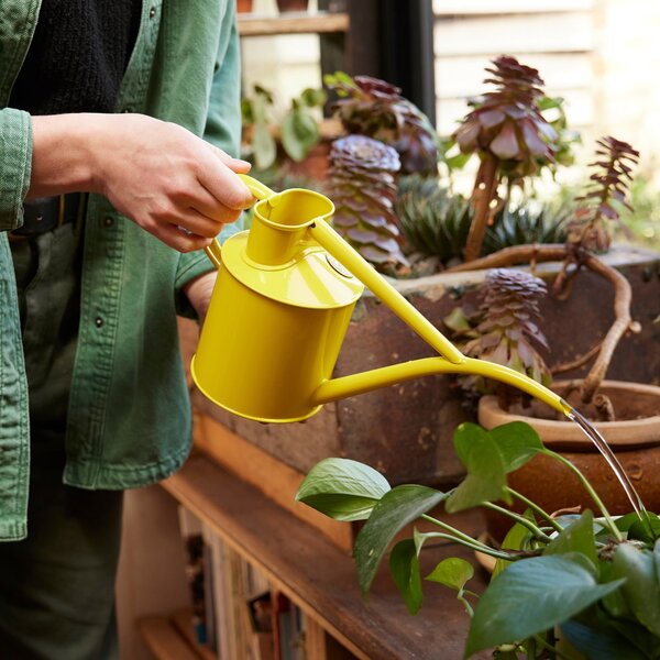 Konvička na zalévání Fazeley Flow Lotus Yellow – 1 l