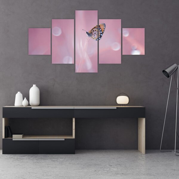 Obraz - Motýlek (125x70 cm)