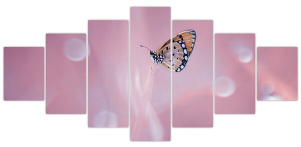 Obraz - Motýlek (210x100 cm)