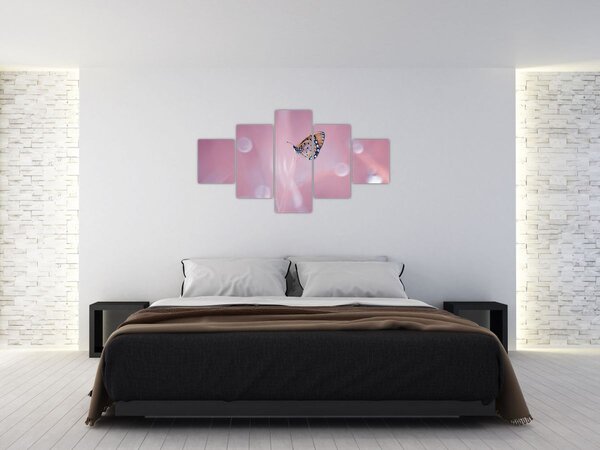 Obraz - Motýlek (125x70 cm)