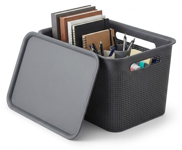 Rotho Úložný box s víkem a s madly BRISEN 16l, 36x26,2x21cm, černý