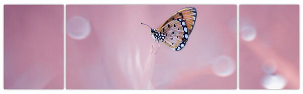 Obraz - Motýlek (170x50 cm)