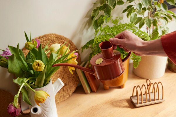Konvička na zalévání Fazeley Flow Terracotta Orange – 600 ml