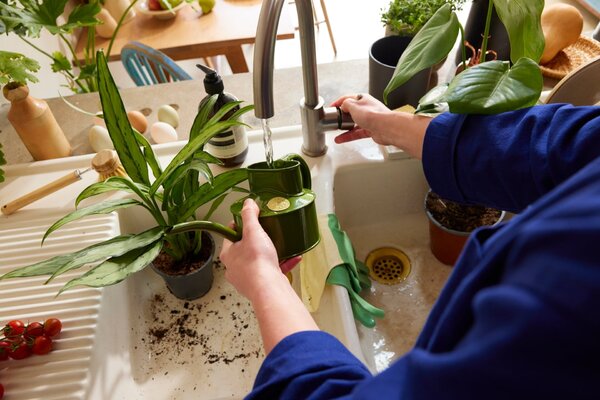 Konvička na zalévání Fazeley Flow Fern Green – 600 ml