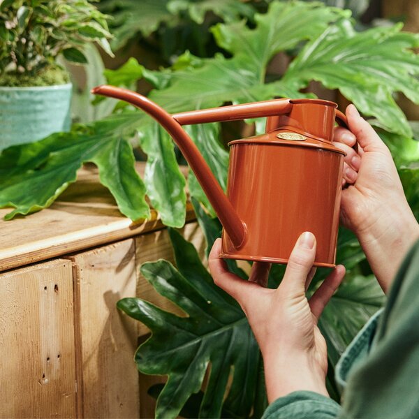 Konvička na zalévání Fazeley Flow Terracotta Orange – 1 l