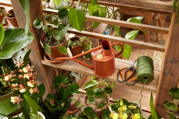 Konvička na zalévání Fazeley Flow Terracotta Orange – 1 l