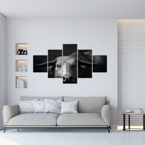 Obraz - Kráva (125x70 cm)