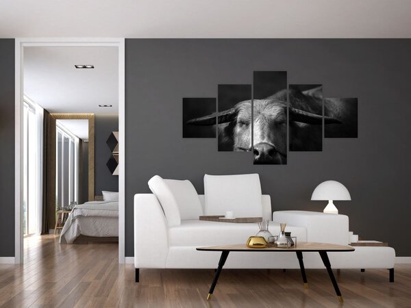 Obraz - Kráva (125x70 cm)