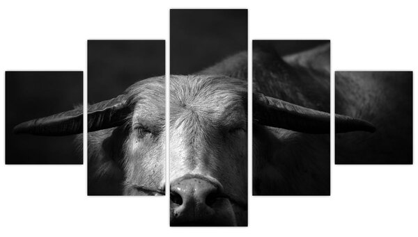 Obraz - Kráva (125x70 cm)