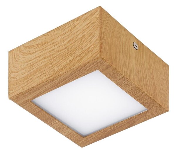 Eglo 95195 - LED stropní svítidlo COLEGIO 1xLED/4,2W/230V