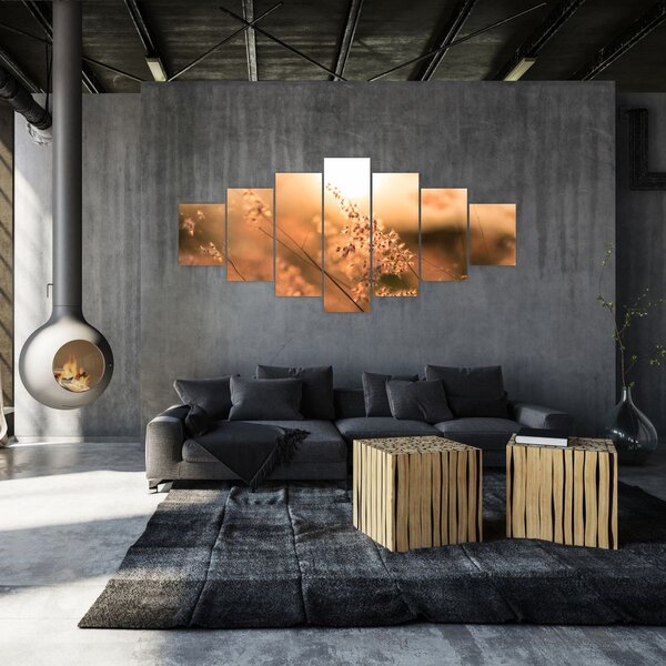 Obraz - Tráva na slunci (210x100 cm)
