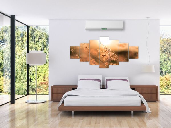 Obraz - Tráva na slunci (210x100 cm)
