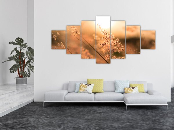Obraz - Tráva na slunci (210x100 cm)