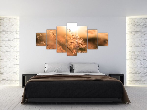 Obraz - Tráva na slunci (210x100 cm)