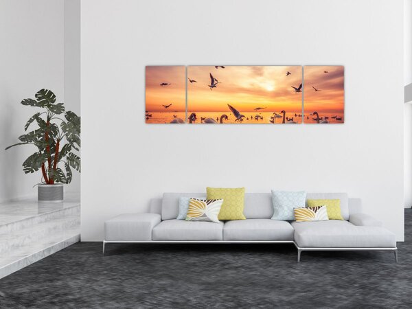 Obraz - Labutě (170x50 cm)