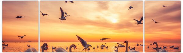 Obraz - Labutě (170x50 cm)
