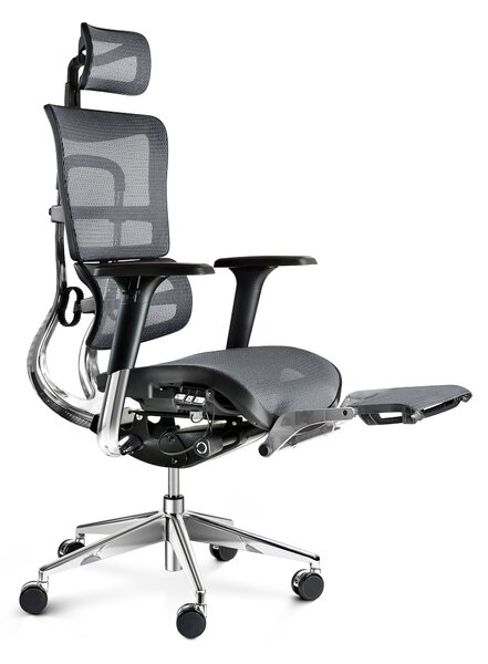 Ergonomická židle DIABLO V-MASTER: černo-šedá Diablochairs