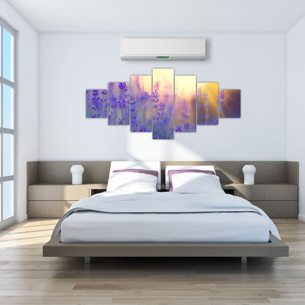Obraz - Levandule (210x100 cm)