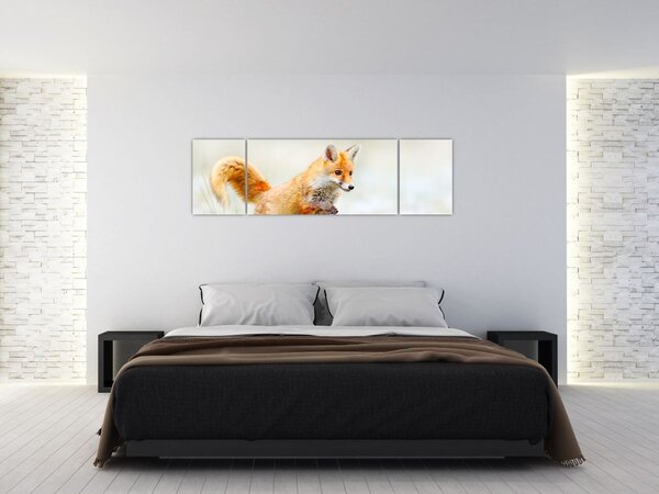 Obraz - Skákající liška (170x50 cm)