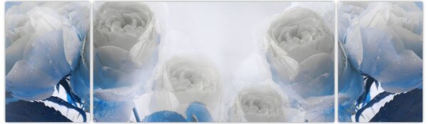 Obraz - Bílé růže (170x50 cm)