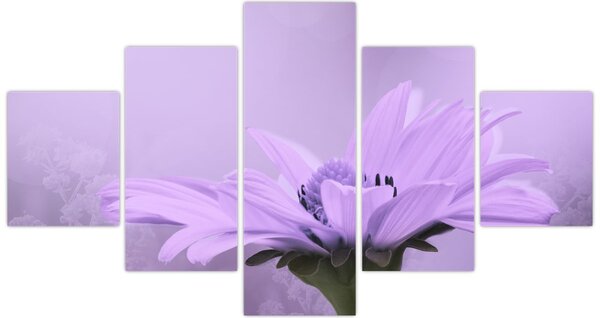 Obraz - Fialová květina (125x70 cm)