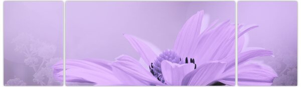 Obraz - Fialová květina (170x50 cm)