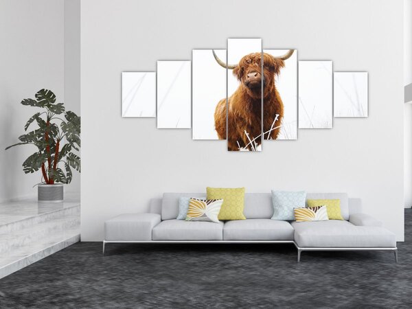 Obraz - Skotská kráva (210x100 cm)
