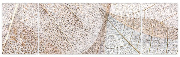 Obraz - Béžové listy (170x50 cm)