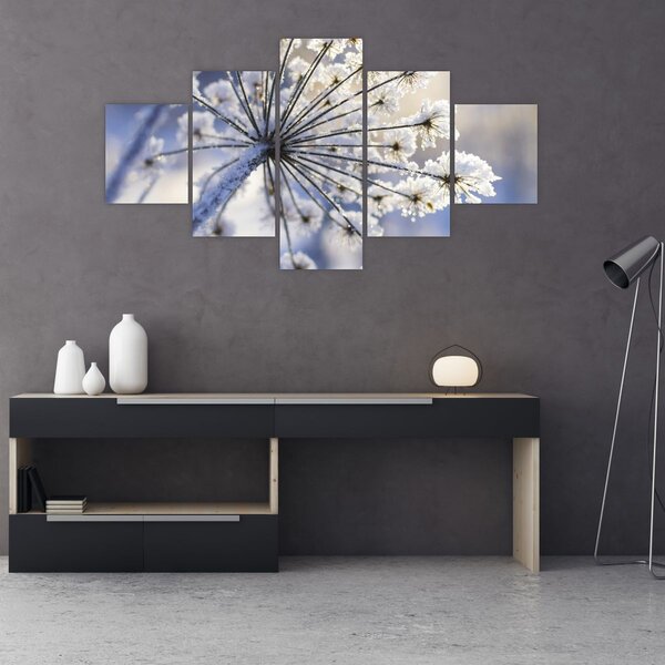 Obraz - Zmrzlý květ (125x70 cm)