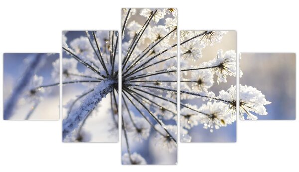 Obraz - Zmrzlý květ (125x70 cm)