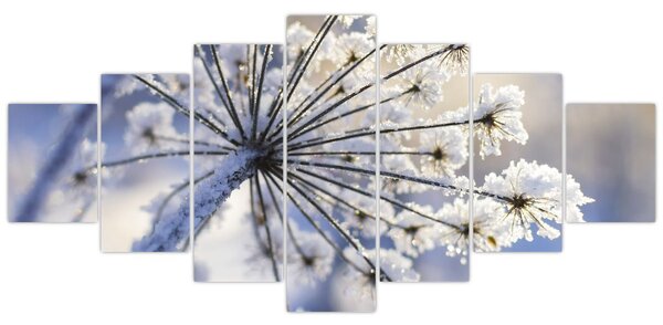 Obraz - Zmrzlý květ (210x100 cm)