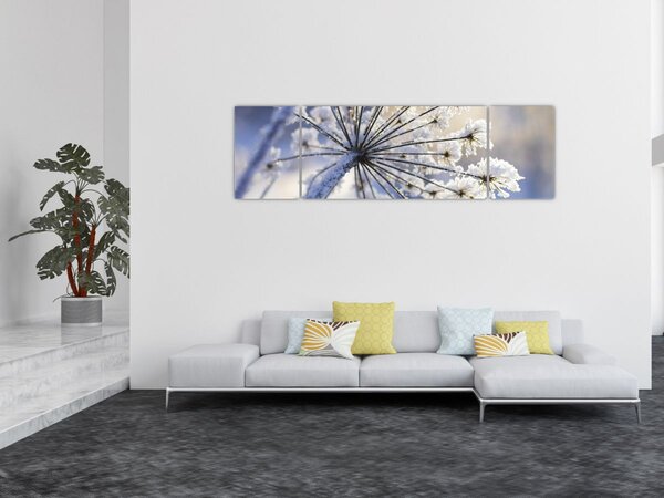 Obraz - Zmrzlý květ (170x50 cm)