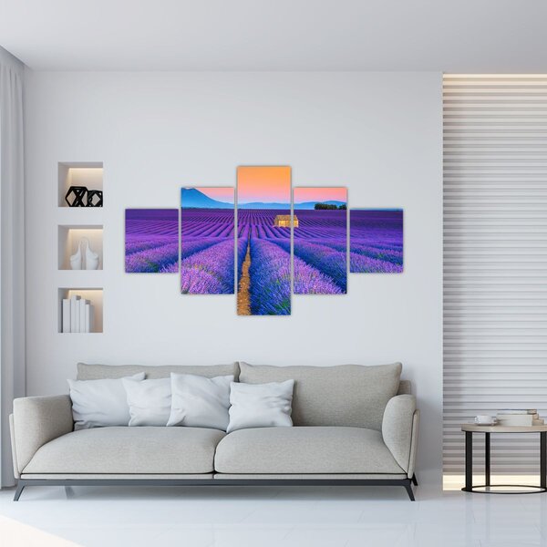 Obraz - Levandulové pole (125x70 cm)