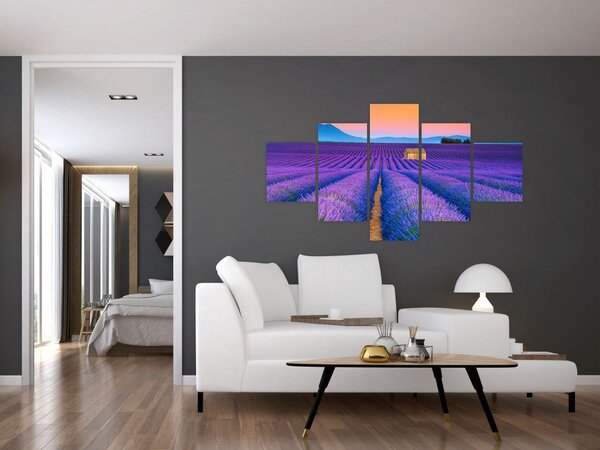 Obraz - Levandulové pole (125x70 cm)