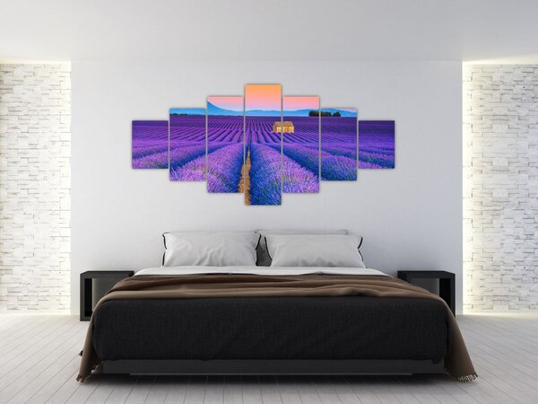 Obraz - Levandulové pole (210x100 cm)