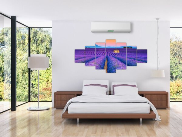 Obraz - Levandulové pole (210x100 cm)