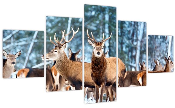 Obraz - Stádo jelenů (125x70 cm)
