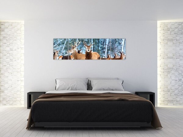 Obraz - Stádo jelenů (170x50 cm)