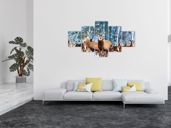 Obraz - Stádo jelenů (125x70 cm)