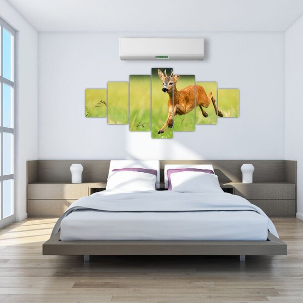 Obraz - Srneček (210x100 cm)