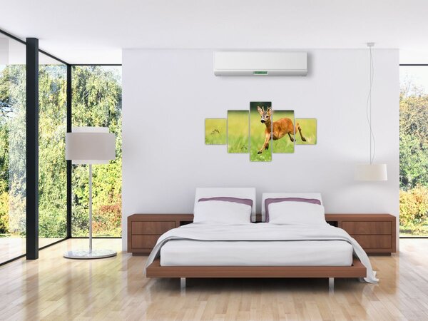 Obraz - Srneček (125x70 cm)