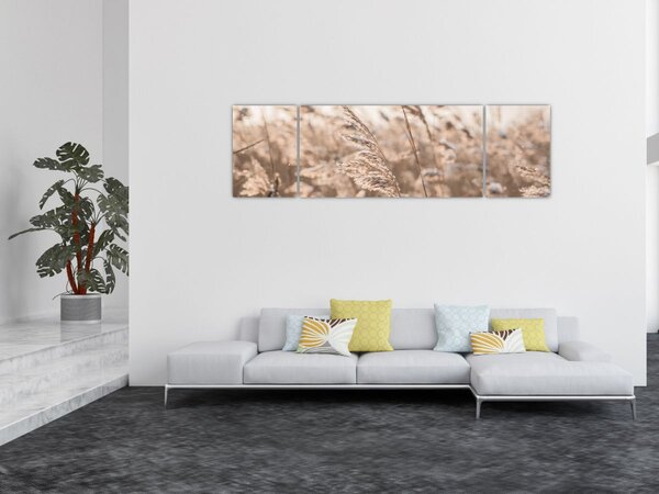 Obraz - Luční vánek (170x50 cm)