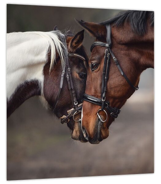 Obraz - Zamilovaní koni (30x30 cm)