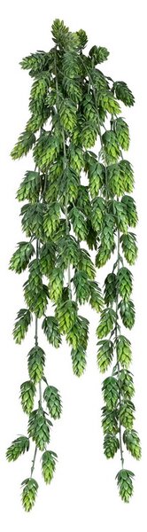 Chmelová girlanda, 170 cm